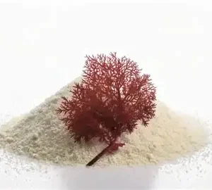 AGAR AGAR GELATINA VEGETAL 100 GRAMOS